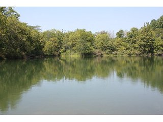 Property photo 82 - 419 +/- Acres offered in 6 Tracts, Land Auction